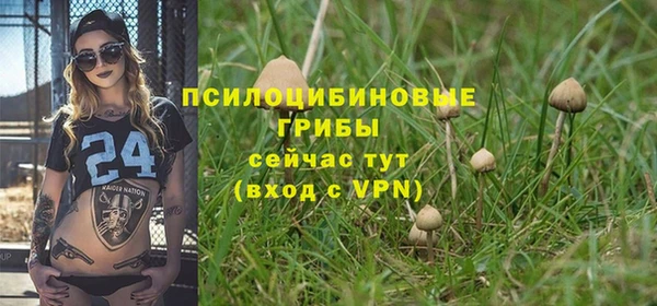 соль ск Бородино