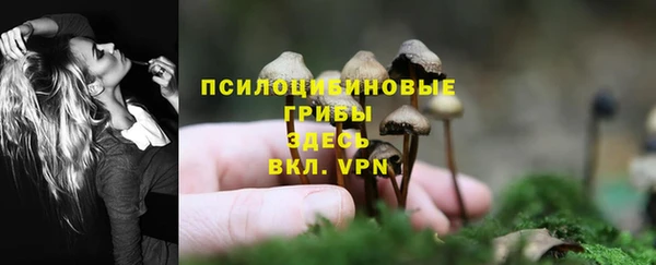 гидра Бугульма