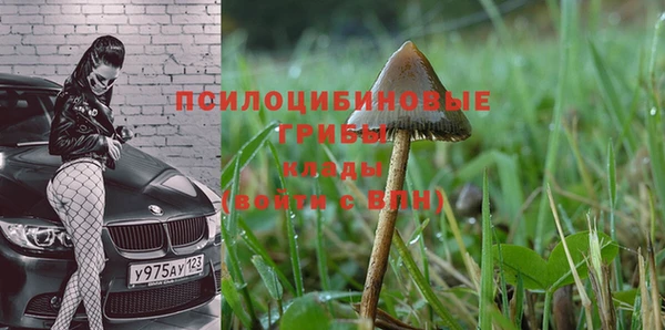 гидра Бугульма