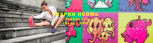 соль ск Бородино