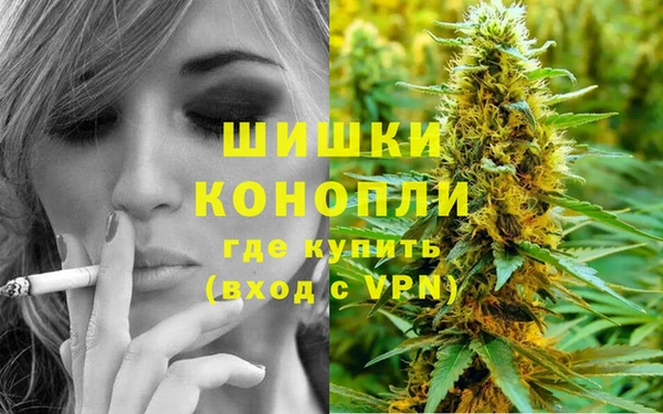 гидра Бугульма