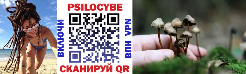 shop наркотические препараты даркнет сайт Краснослободск Галлюциногенные грибы GOLDEN TEACHER hydra зеркало